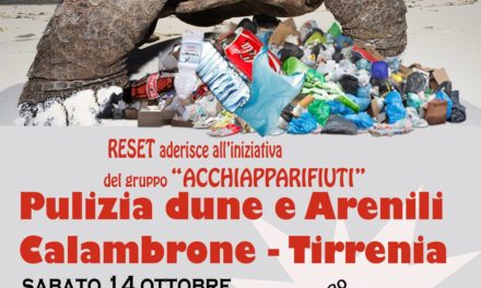 PULIZIA DELLE DUNE E DELLE AREE INTERNE